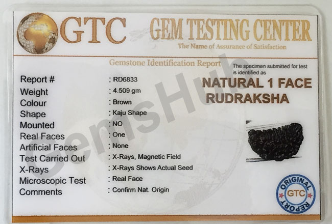 1 Face/Mukhi Certified Rudraksha Premium Quality